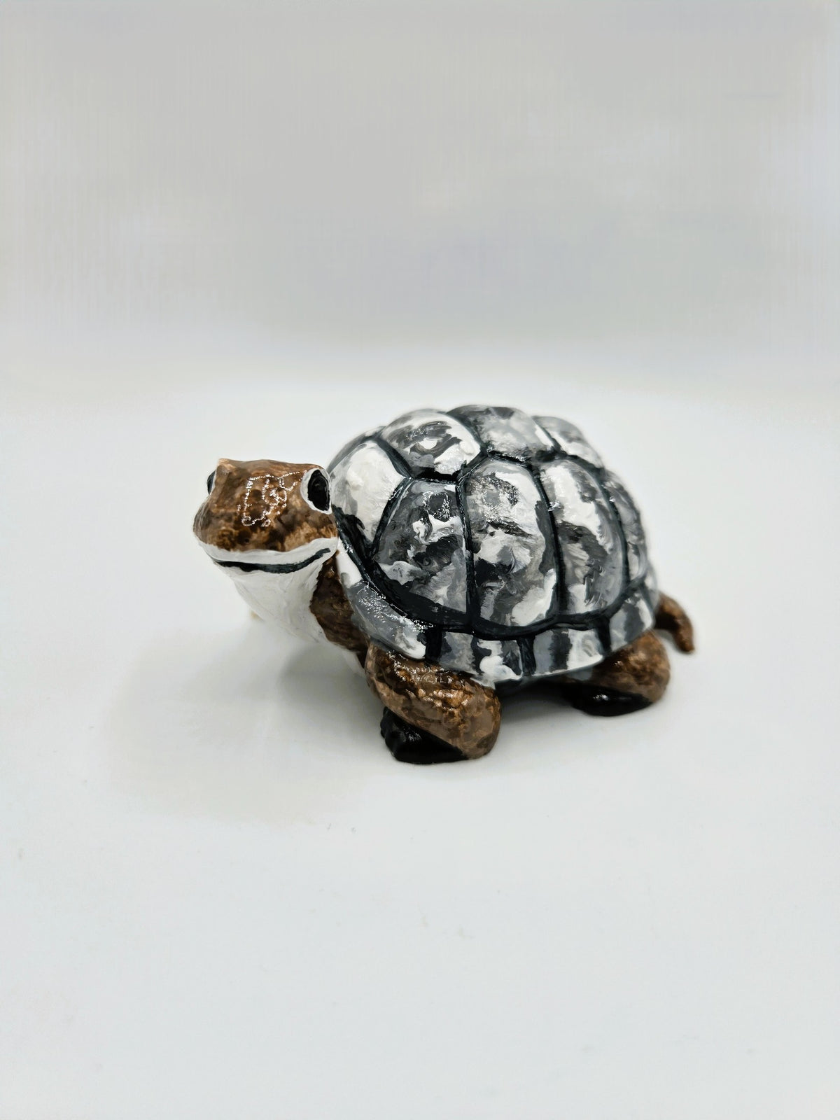 Kleine Schildkröte mit großem Herz