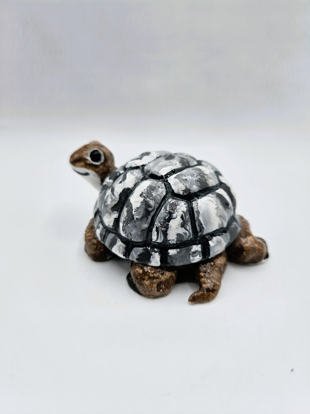 Kleine Schildkröte mit großem Herz