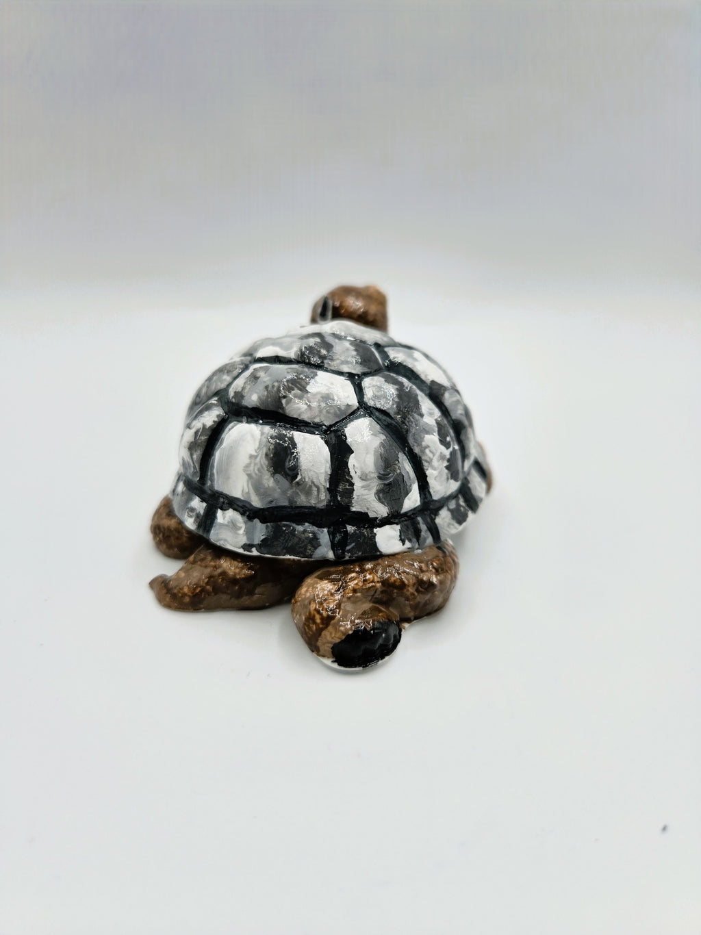 Kleine Schildkröte mit großem Herz