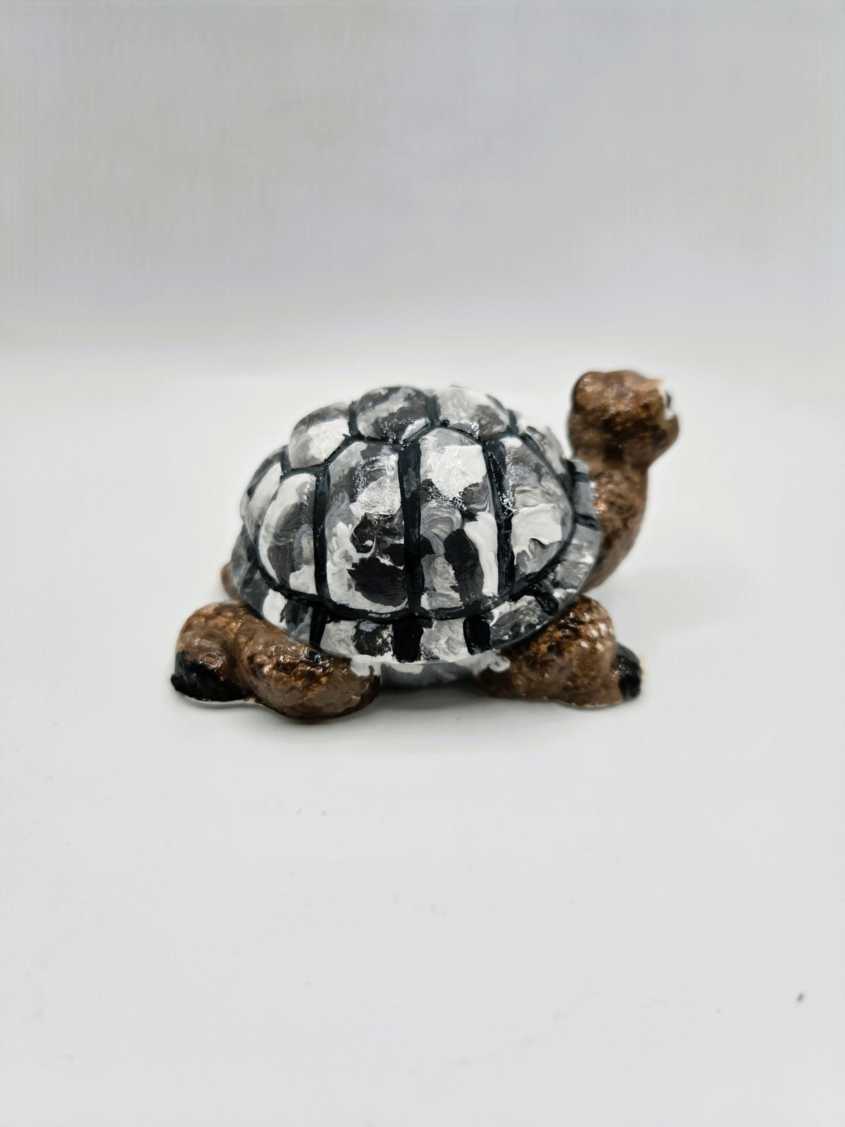 Kleine Schildkröte mit großem Herz