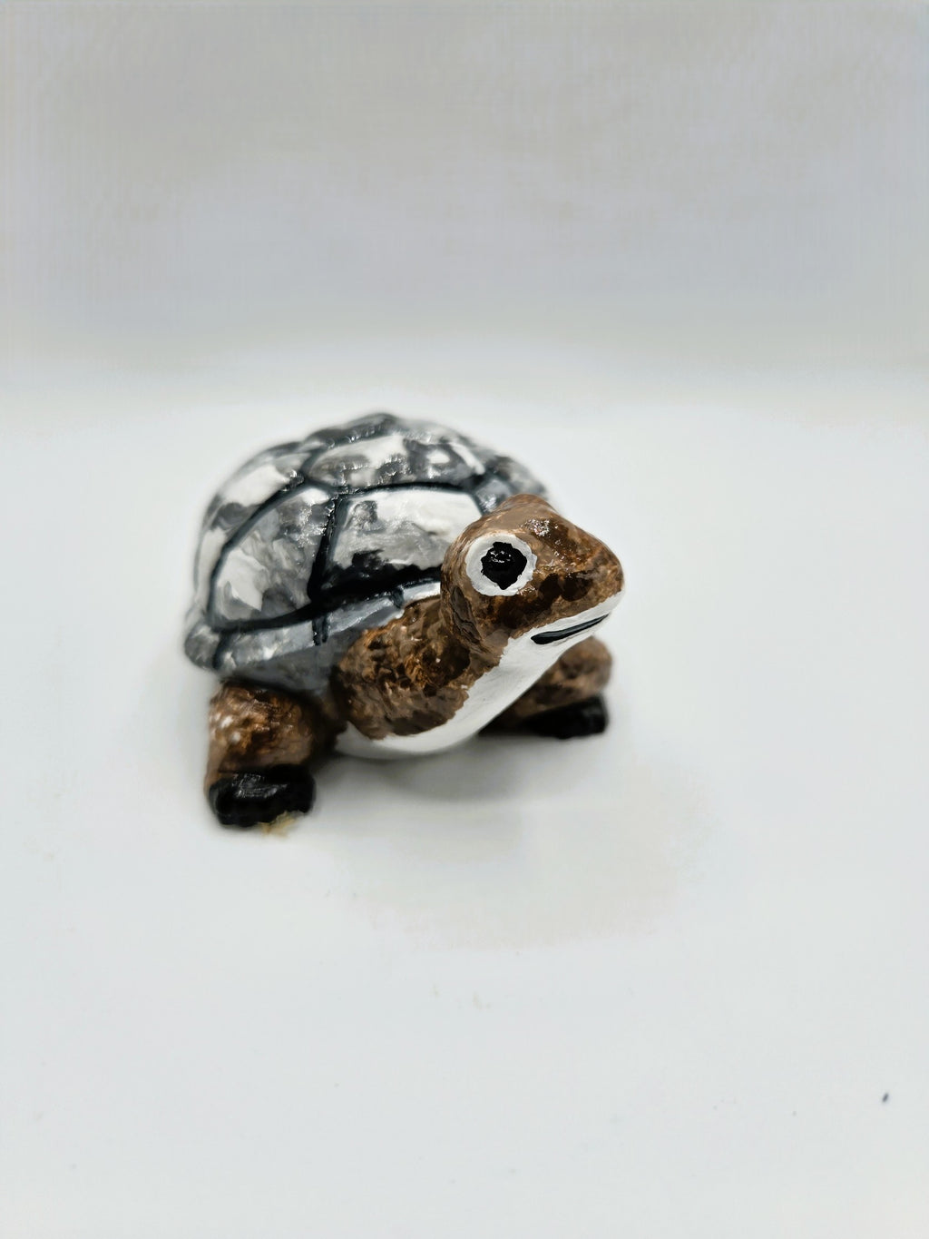 Kleine Schildkröte mit großem Herz