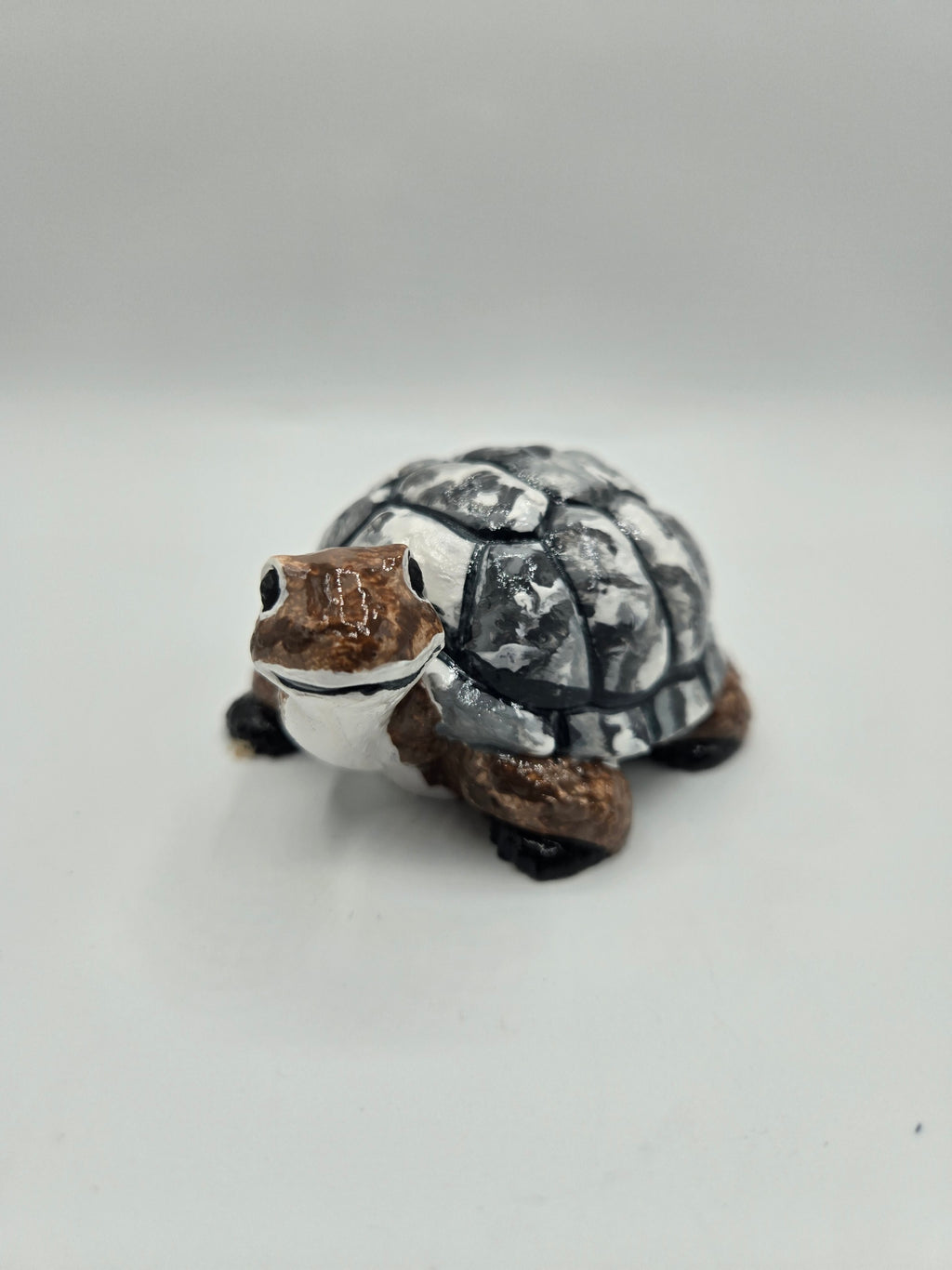Kleine Schildkröte mit großem Herz