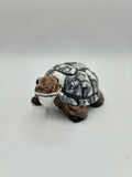 Kleine Schildkröte mit großem Herz
