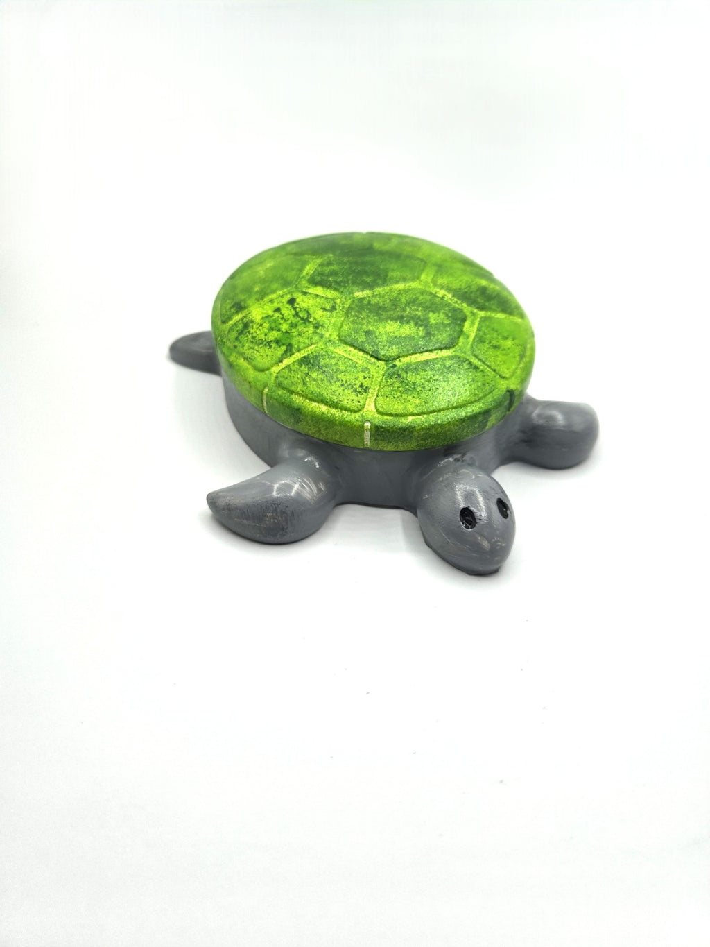 Schildkröte Tortuga