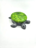 Schildkröte Tortuga