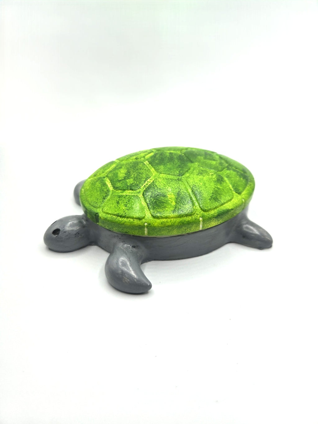 Schildkröte Tortuga