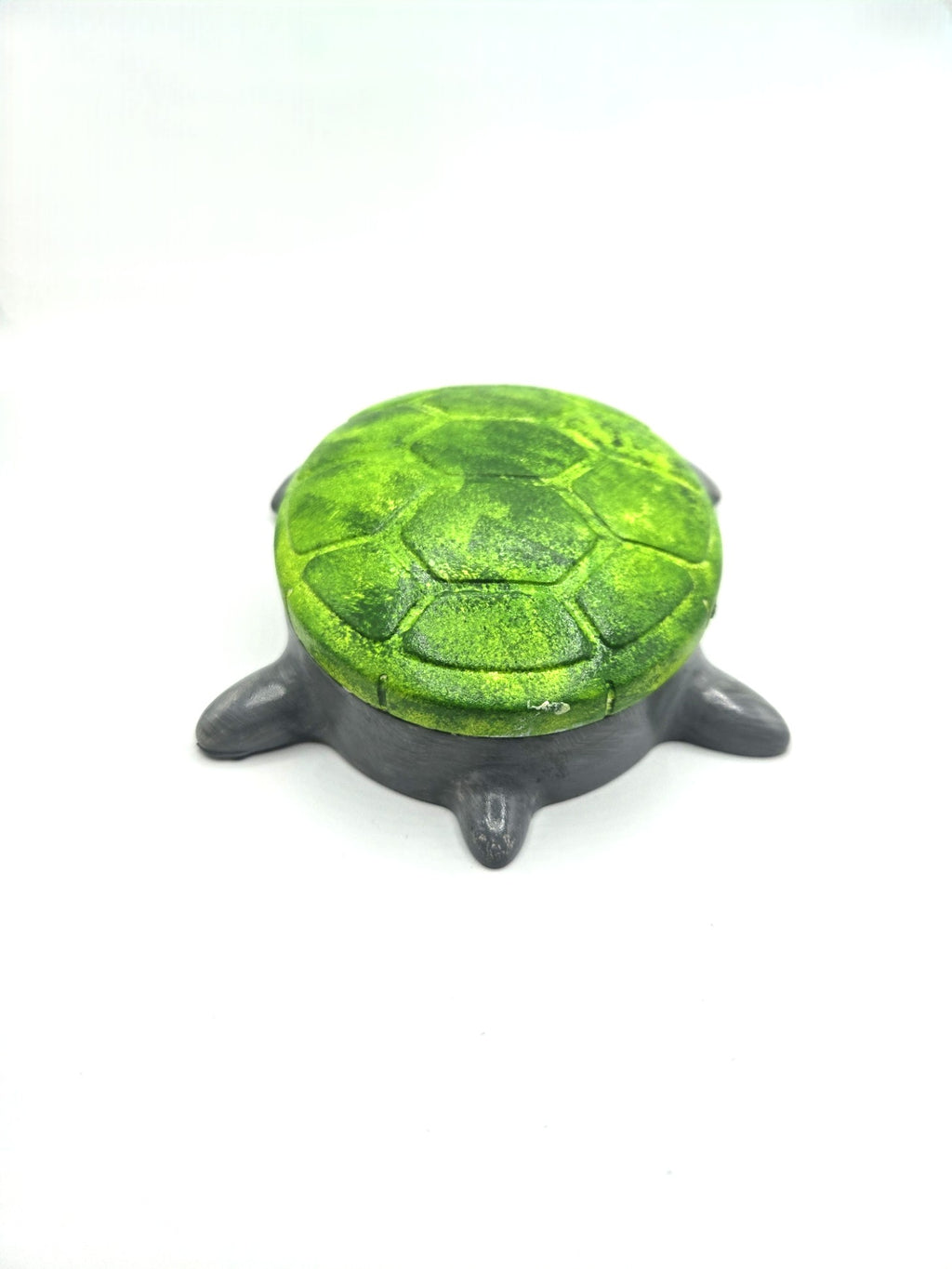 Schildkröte Tortuga