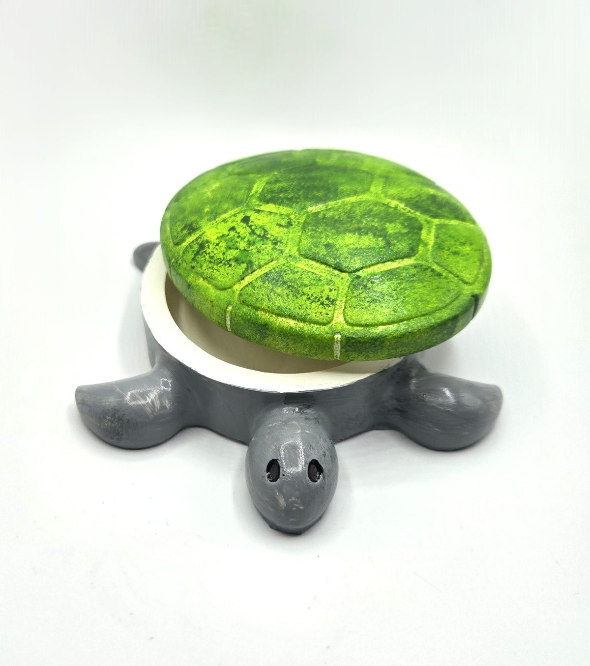Schildkröte Tortuga