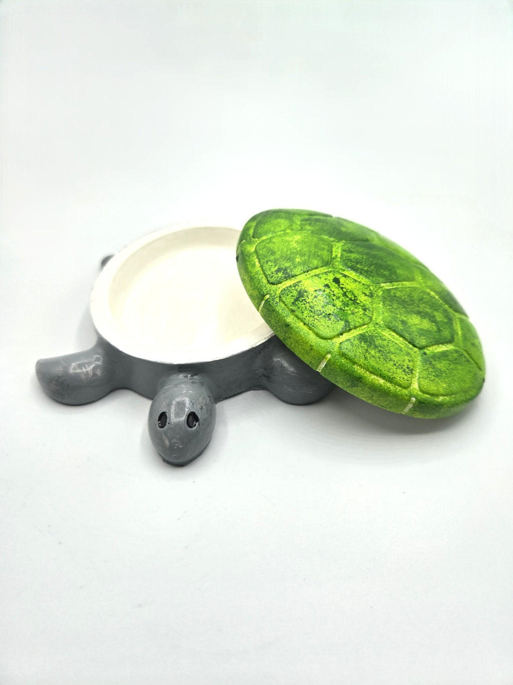 Schildkröte Tortuga