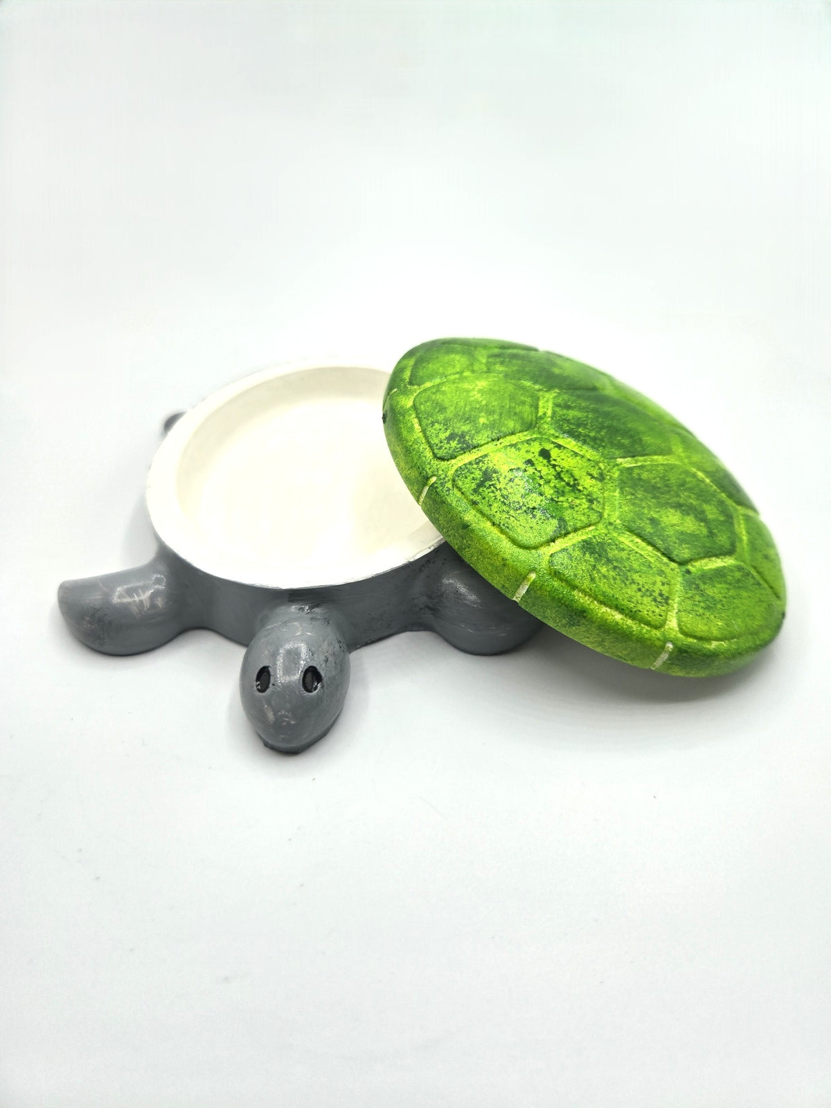 Schildkröte Tortuga