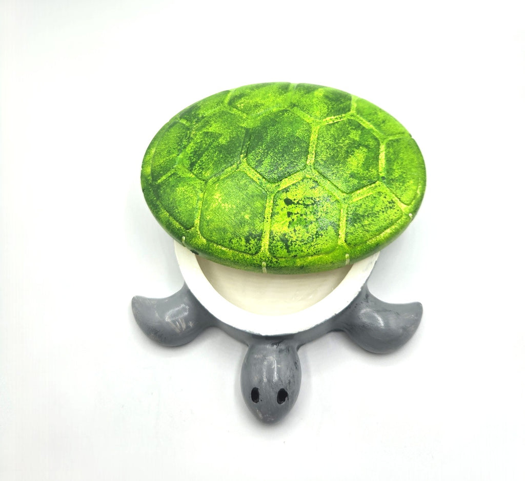 Schildkröte Tortuga